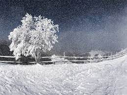 Western Snow Storm Wallpaper Storm Wallpaper Snow Images Snowfall Wallpaper