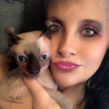 Found Stray now at IACS shelter