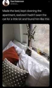 Twenty Five Funny Tweets For Your Entertainment Cute Funny Animals Funny Funny Animals