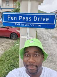 Dutch-Quarter Council