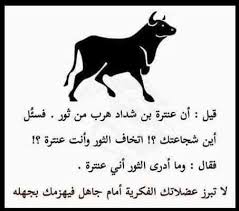 nayef saif naifsif2 twitter funny arabic quotes cool words words quotes