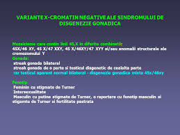 Cineva are nevoie de răspunsul tău: The Ovary Determination Ppt Video Online Download