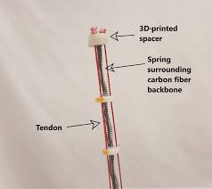 A ligament is often found in the joints of the body and are labelled diagram of human body parts see more about labelled diagram of human body parts labeled. Tip Of A Robotic Tendril With Labeled Components Download Scientific Diagram