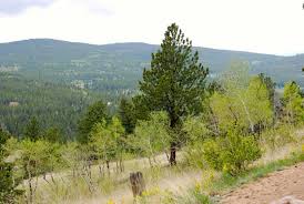 Maybe you would like to learn more about one of these? Explore Hiking Trails Near Golden Colorado