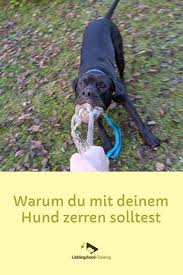 Ein Hoch Auf Zerrspiele Lieblingshund Hunde Hundchen Ubung Hunde Erziehen