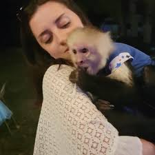 Joe Thibault (@t_bone1011) • Instagram photos and videos