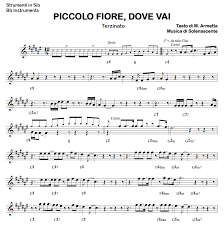 Un cinema di quartiere ancorato ai sampietrini della realtà e alla modestia sempre benvenuta del suo regista. Piccolo Fiore Terzinato Basi Audio Fisarmonica