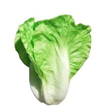 Yuan Artificial Lettuce Painting Model Home Decoration Photography Show Props Learn More By Visiting The Image Link Vegetables Lettuce Model Homes