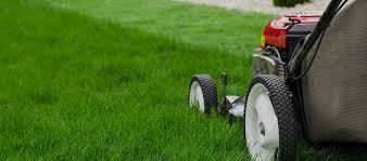 Handyman service is currently not available in your area. Toronto Landscaping Lawncare Services Isr Gardening Inc