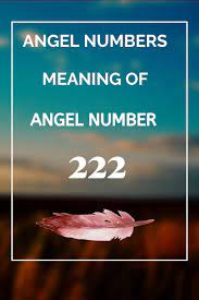 Angel Numbers Angel Number 222 Meaning Meant To Be Angel Number 222 222 Meaning