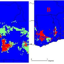 Image result for Chasmanthera dependens
