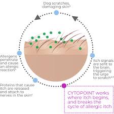 about cytopoint cytopoint