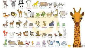 English/ transliteration / urdu/ hindi. Wild Animals List Of Wild Animal Names In English With Images 7esl