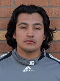 HS BOYS SOCCER: MHS, Lee players earn superlative honors