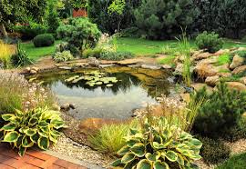 Each person has their own unique taste in, well, everything every single pond has the same fish in it. Natural Backyard Ponds Nualgi Ponds