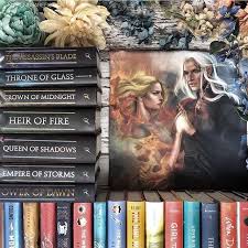 Did You Get The Last Shelflovecrate Box I Looooved Every Item So Much This Gorgeous Tote Bag W Throne Of Glass Books Throne Of Glass Series Throne Of Glass