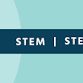 STEAM Lab: Seed Bombs