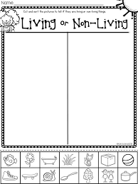 Plants Unit Plan For K 1 Preschool Science Montessori Science Kindergarten Science
