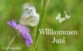 Sie werden bei uns natürlich alle antworten bzw. á… Juni Bilder Juni Gb Pics Gbpicsonline