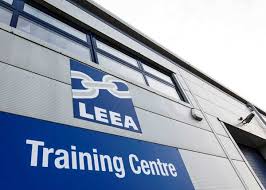 Image result for Leea