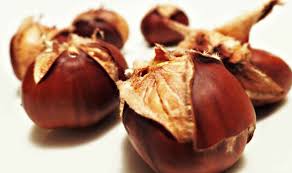 Poi mettete le castagne sul sale dal lato piano e fate cuocere, coperte, per circa 20 minuti. Castagne Al Sale Il Metodo Per Cuocerle Perfettamente In 20 Minuti