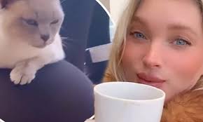 Eva herzigova, kendall jenner, jourdan dunn liu wen slay at bottega veneta. Elsa Hosk Lets Her Cat Sanu Climb Onto Her Baby Bump As She Wraps Up In Fur And Relaxes With Tea Daily Mail Online