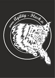 Uber Uns Agility Flash