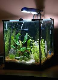 Aquael Shrimp Set Nano Fresh Water Fish Tank Aquarium Fish Tank Betta Aquarium