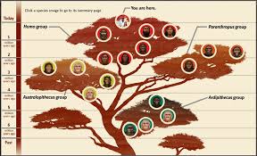The Human Family Tree Post 16 Rlwolfblog