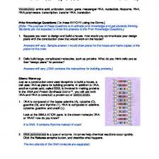 Gizmo answer key building dna.pdf free pdf download lesson info: Rnaproteinsynthesisse Key Pdf Txt