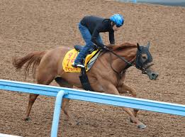 土曜東京競馬場の注目激走馬…東京１１Ｒグリーンチャンネル ...