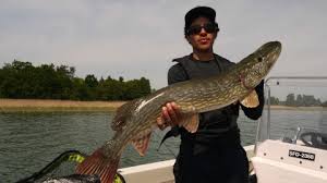 Conservation du nombre, s�riation�) dans la planification de la t�che � compter. Materiel De Peche Pas Cher D Occasion Sur Circle Fishers