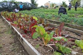 Johnson farms is located in western, ny. C V Bethel Preparing Students For Careers In Agriculture Government News