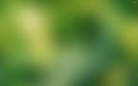 Find the best blurry desktop wallpaper on getwallpapers. Free Photo Milky Green Blurred Background Abstract Wallpaper Veins Free Download Jooinn