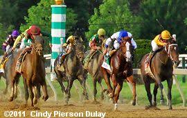 2011 Preakness Results