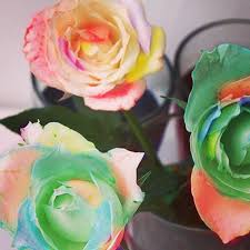 Make your own rainbow flowers. Wikihow Make Rainbow Roses With Real White Roses Or