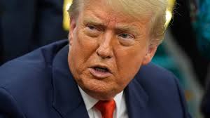 Just Askin': They're an invasive species. How did Cincinnati get so many  Lazarus lizards?