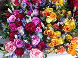 Rose Color Meanings Of 8 Different Roses - Article Onthursd