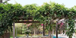 Lushome collection presents spectacular pergola and gazebo ideas that are inspiring, functional a metal or wooden gazebo or pergola creates a wonderful focal point for yard landscaping and garden. 25 Inspiring Trellis Pergola Ideas For Your Backyard Architectural Digest