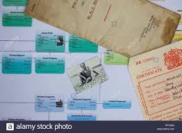 Family Tree Chart With Naturalisation Papers And Birth