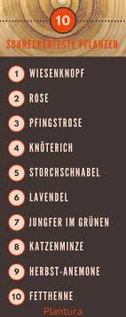 Die 10 Schneckenfestesten Pflanzen Fur Ihren Garten Plantura Pflanzen Schnecken Im Garten Schadlinge Im Garten