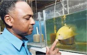 Teaching a man to fish