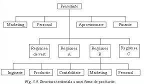 El organigrama es un esquema de estructura que refleja la estrategia de la empresa para enfrentarse a los retos del mercado. Organigrama Unei Firme Constructii Ghid Infiintare Firma Constructii