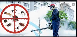 We offer customized pest control for your home and business. Pest Fogging Service In Dombivli West Thane Id 8597557748
