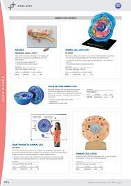 Sugar cookie (this is the same recipe i used for the cookie model of an atom), chocolate chips, hershey kiss**, cke biology*. Haines Educational Science Catalogue 2018 By Haines Educational Issuu