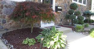 Pruning My Japanese Maple Tree Spot Of Tea Designs Japanese Maple Tree Japanese Maple Tree Landscape Dwarf Japanese Maple