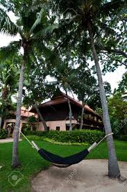 The wooden spreader bar and 20 rope joint with the ring will take just a few minutes to set it up. Hammock Under Coconut Tree In Thailand Stock Photo Picture And Royalty Free Image Image 14597070