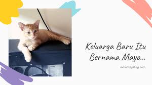 We did not find results for: Mama Kepiting 2020