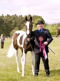 Breeders Chuff Chart Horse And Hound Forum