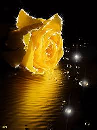 In betracht gezogen habe ich dabei: ÙˆØ±ÙˆØ¯ Ø¬Ù…ÙŠÙ„Ø© Ù…Ù†Ø§Ø¸Ø± Ø·Ø¨ÙŠØ¹ÙŠØ© Ù…ØªØ­Ø±ÙƒØ© Ù„Ù„Ù…ÙˆØ¨Ø§ÙŠÙ„